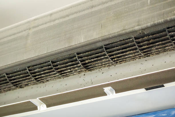 Best HVAC System Cleaning  in Goulds, FL